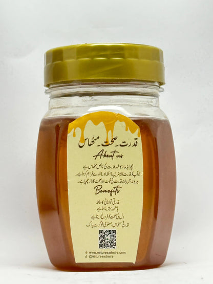 NatureAdmire – Pure Moasmi Honey (Bari Makhi ka Shehad)